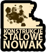 Logo ksnowak